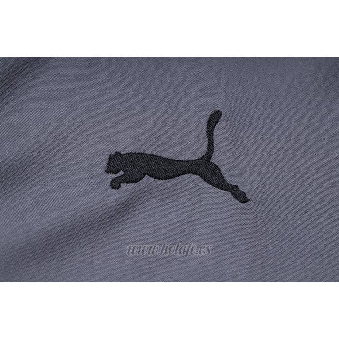 Camiseta Polo del Borussia Dortmund 2023-2024 Gris